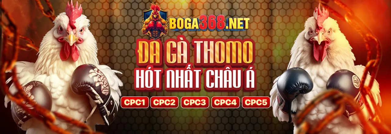Sân vận động rực rỡ ánh đèn của 2bong88