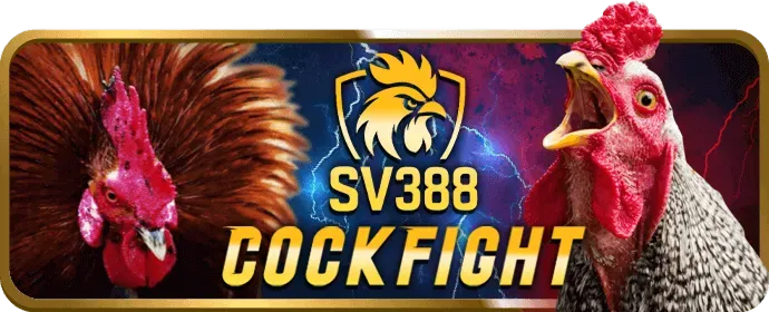 Giao diện thân thiện 2bong88